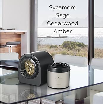 Amazon.com: JW Marriott Rooted Home Scent Diffuser with Cartridge