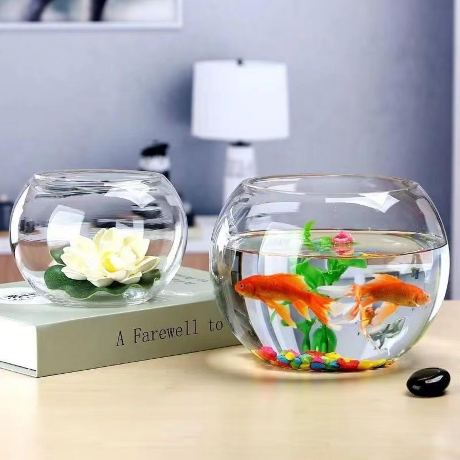 Amazon | jshigogo 金魚鉢 水槽 アクアリウム 丸型金魚鉢 テラリウム
