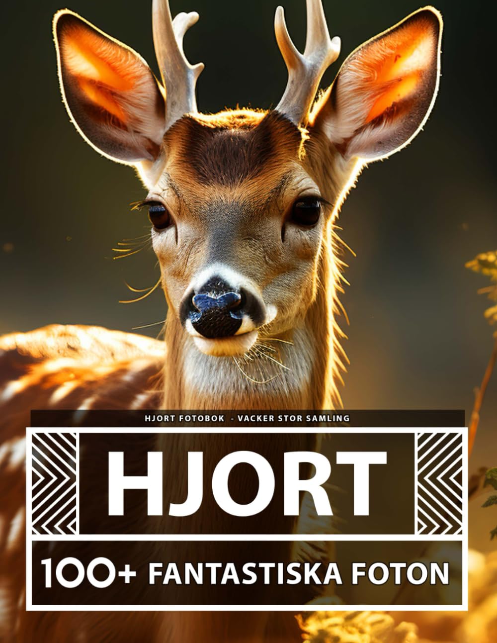 Hjort Fotobok - Vacker Stor Samling: 100+ Fantastiska Bilder - För Barn Och Vuxna