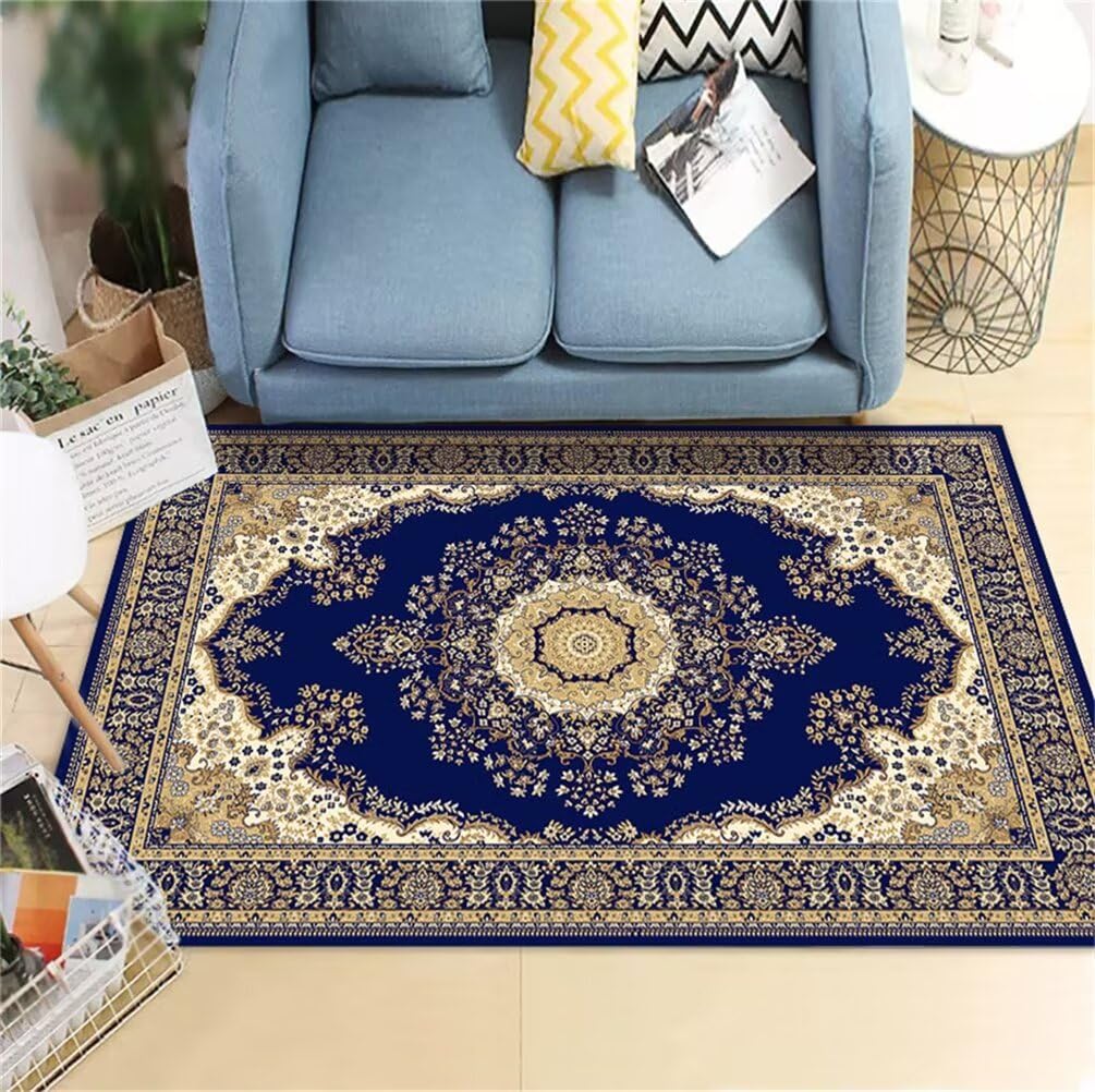 Tapis de salon doux lavable en grand format pour éliminer les taches tenaces