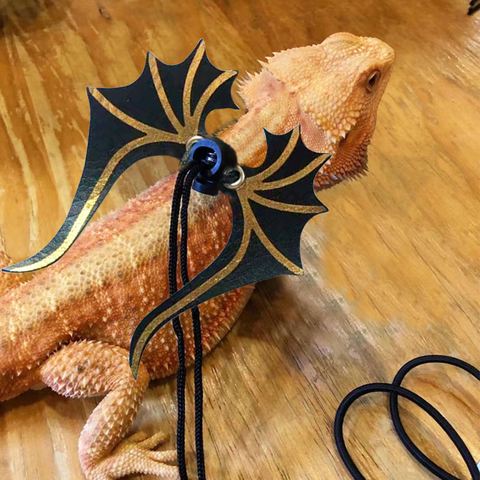 Amazon | フトアゴヒゲトカゲのリード トカゲ用ハーネス 爬虫類