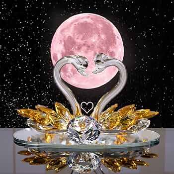 719At-CsnnL._AC_UF350, 719At-CsnnL._AC_UF350,