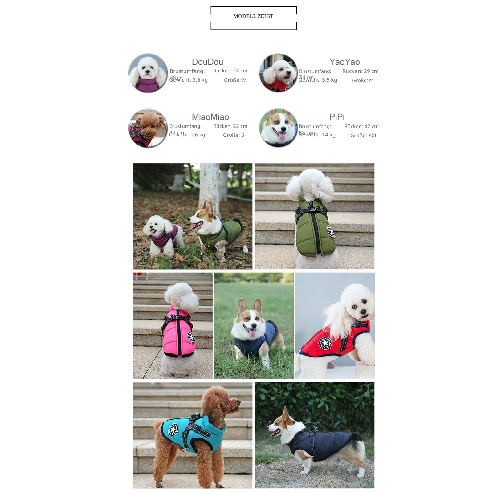 Hundejacke mit Geschirr für kleine Hunde, Hunde-Sportweste für draußen, warmer Haustierwintermantel für Katzen, Welpen, kleine Hunde, Aquamarin