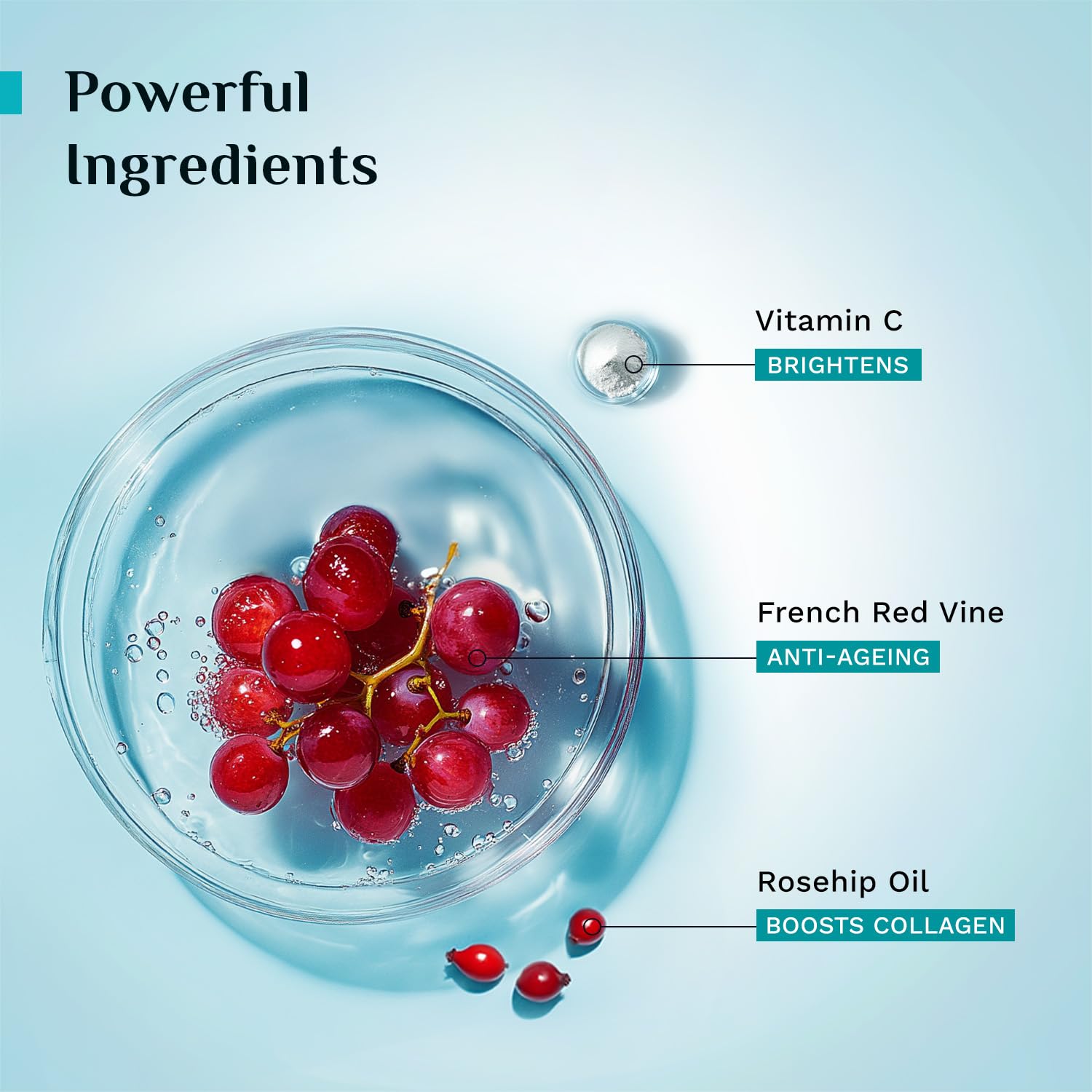 PILGRIM French Red Vine Youthful Glow Moisturizer SPF 30 with Vitamin C, Rosehip Oil For Anti Ageing, Sun Protection PA+++, Daily Use, Dry, Oily, Combination Skin, Men & Women, 50g 2