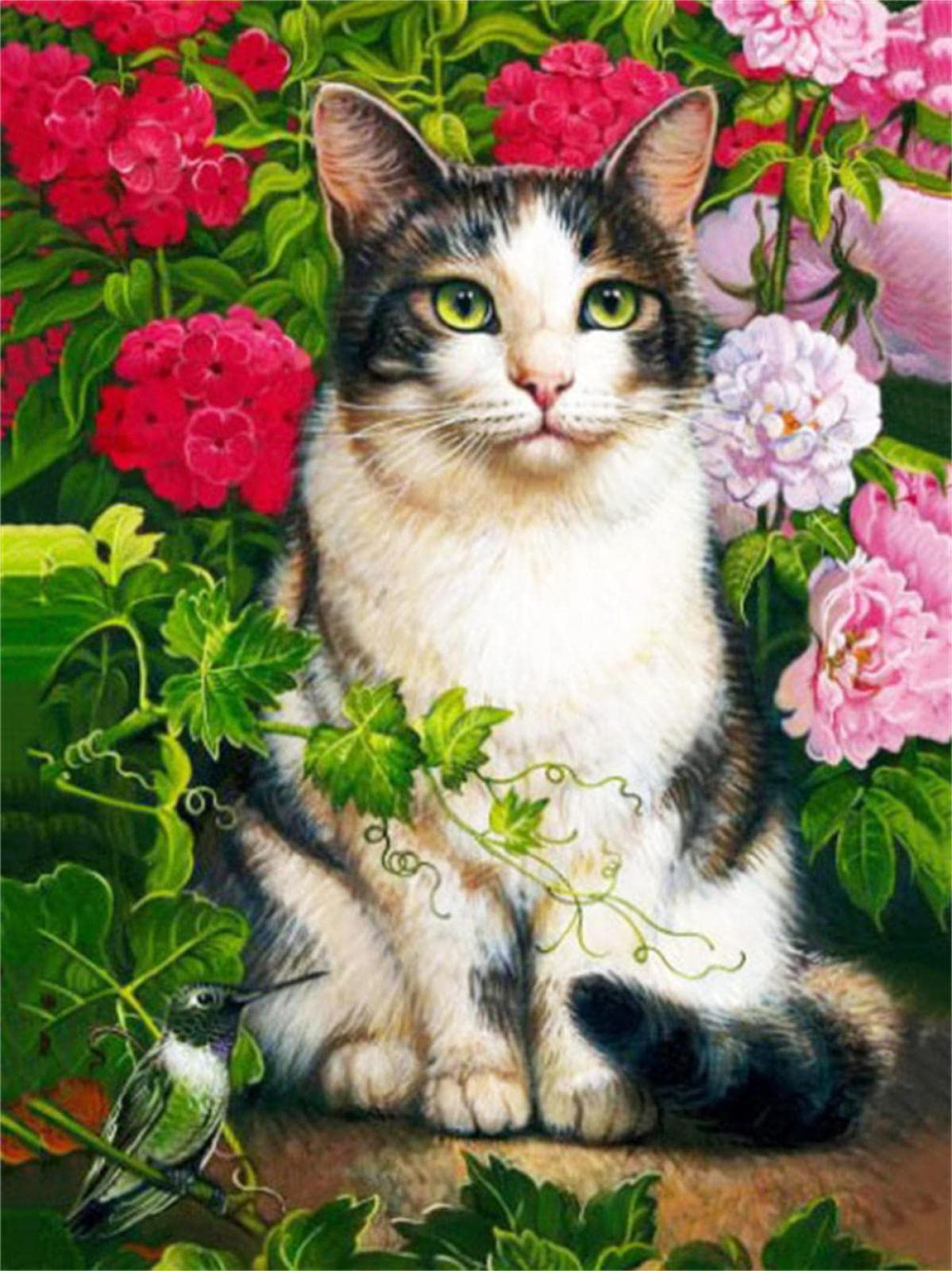 DCIDBEI Diamond Painting Gatto Sorridente 30x30 cm Diamond Painting Adulto Gatto Sorriso Diamante Painting Immagini per Bambini Ragazze Pittura con Numeri Adulti Animali Craft Buddy Crystal Art