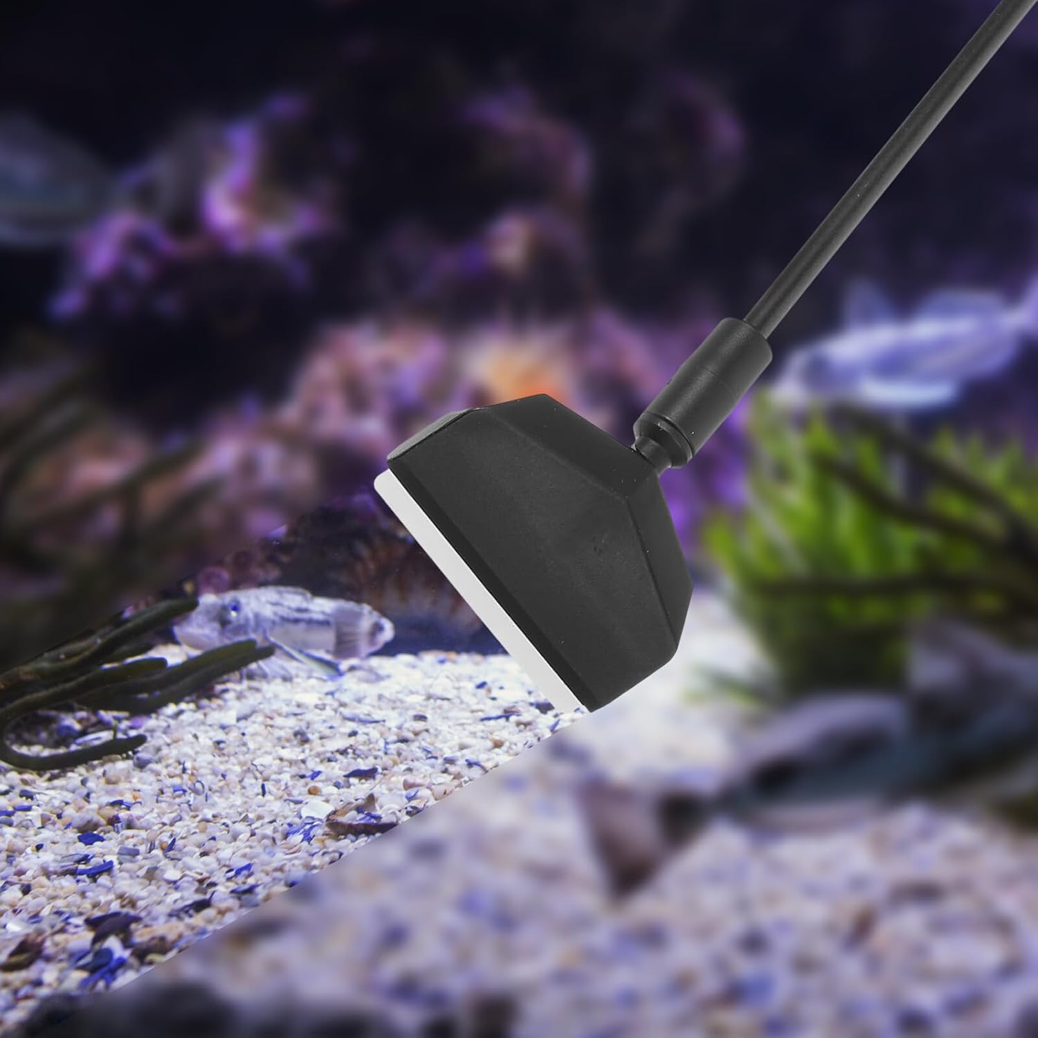 Toyvian Aquarium Cleaning Brush Fish Tank Scraper and Brush Combo Efficient and Debris Convenient Household Aquarium Cleaning Tool