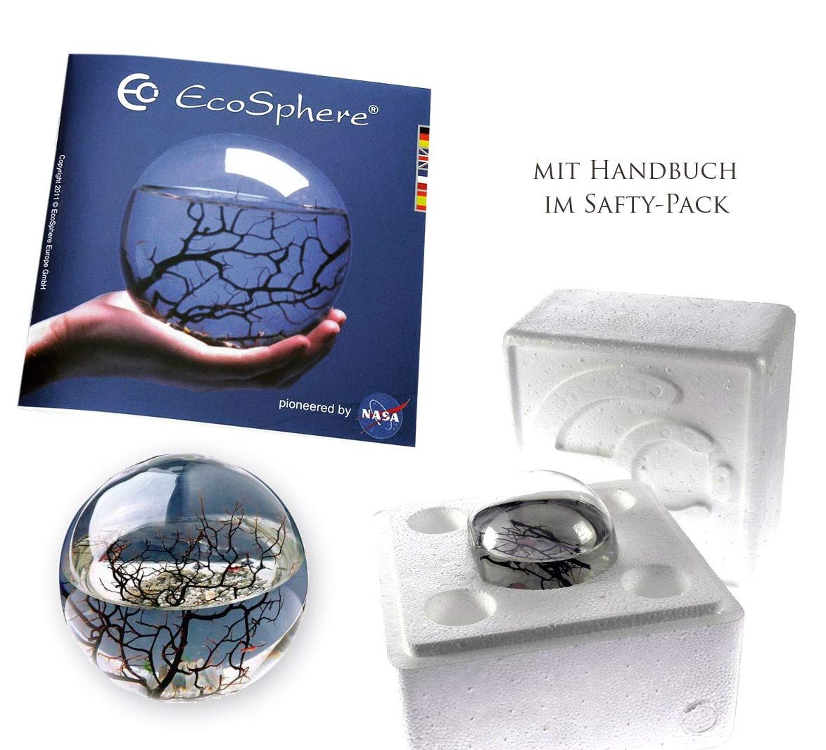 EcoSphere - Miniaquarium aus der NASA Weltraumforschung - handgefertigtes, geschlossenes Ökosystem mit Garnelen - Made in Germany (10cm Kugel)