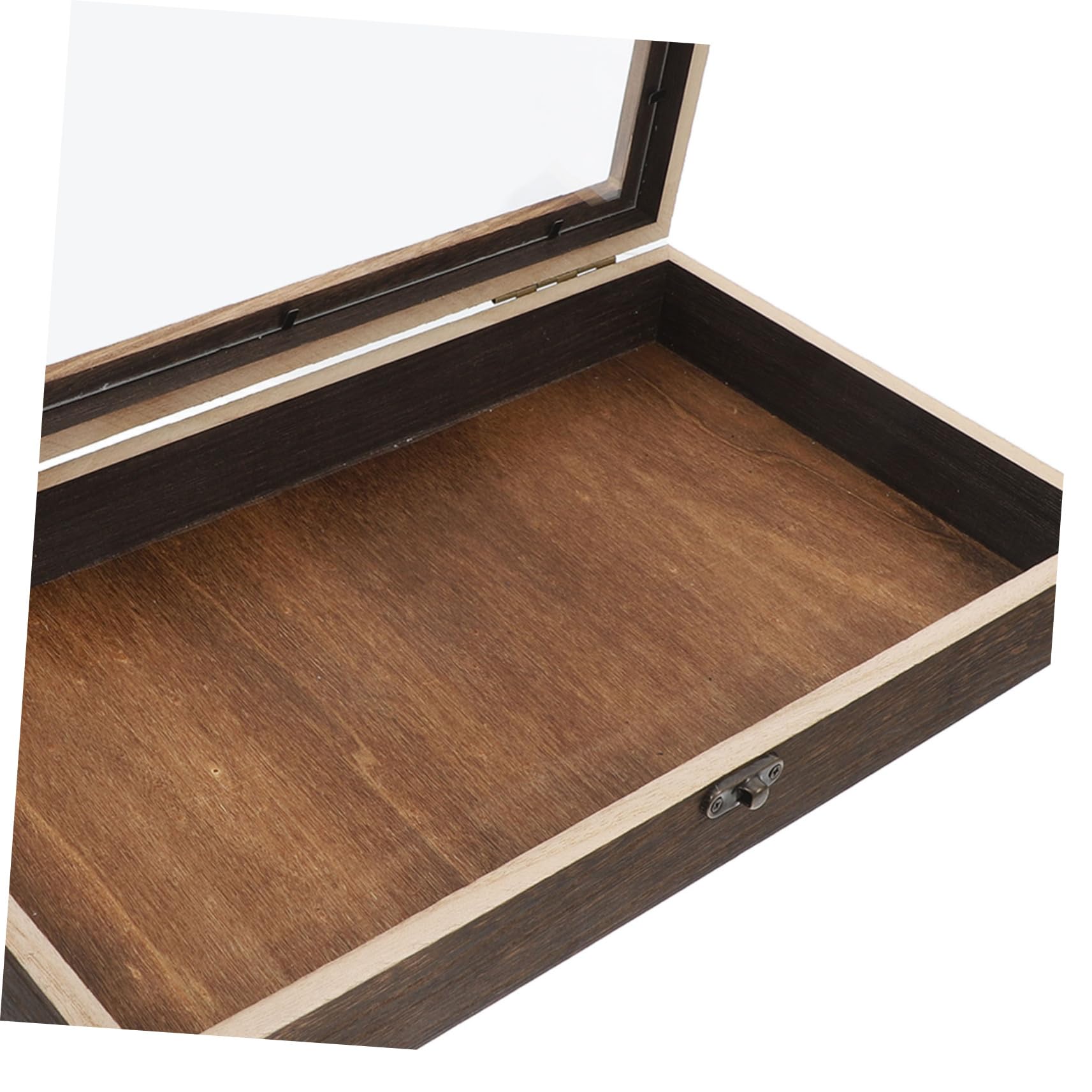 Gatuida Caja de Madera para Insectos con Tapa Abatible para Preservación Conveniente y Uso Versátil en Colecciones Personales y Escuelas de Mariposas