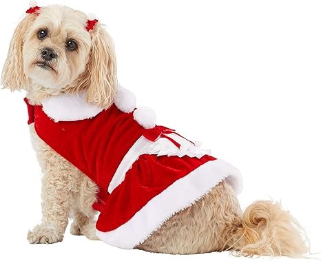 petsmart dog dresses