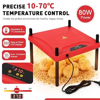 Chick Brooder Heating Plate,12