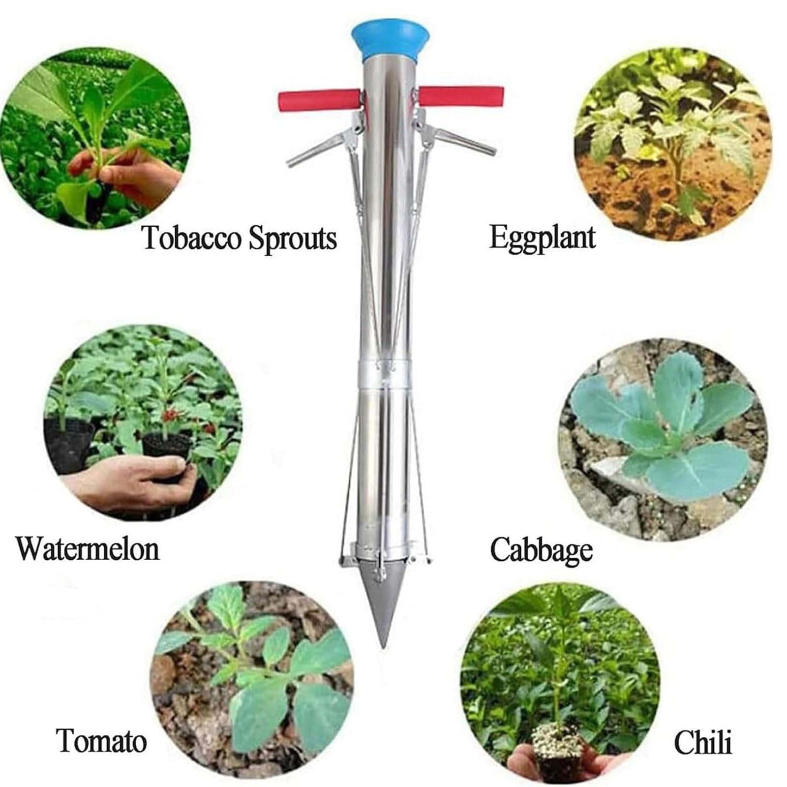 Plantadora de bulbos de acero inoxidable de 35.83 pulgadas, herramienta para sembrar hortalizas con doble mango, herramienta multifuncional para trasplantar plántulas de hortalizas, mango ergonómico