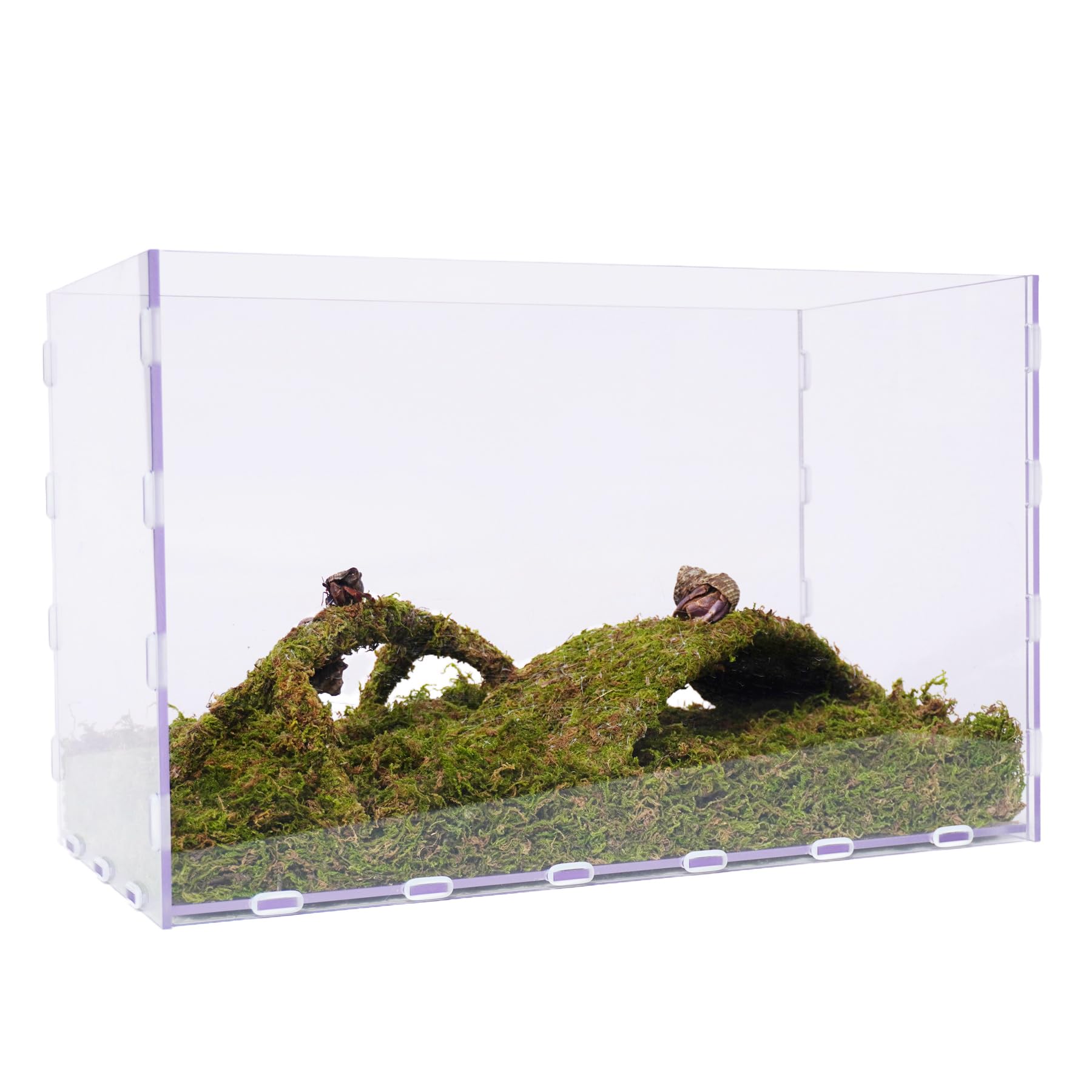Begeterday 10 Gallon Hermit Crab Tank Kit, Include 20.47 inch x 10.83 inch x 12.4 inch Tank，3.5oz Moss, 2xToys, Creating The Perfect Habitat for Your
