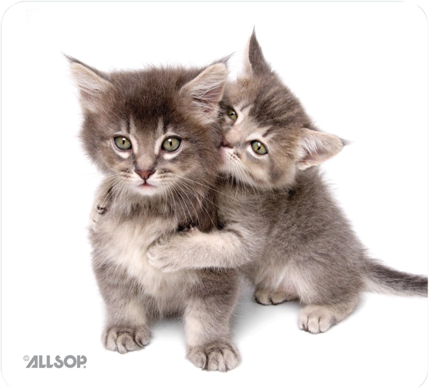Allsop Nature's Smart Mouse Pad 60% Recycled Content, Kittens (30184)