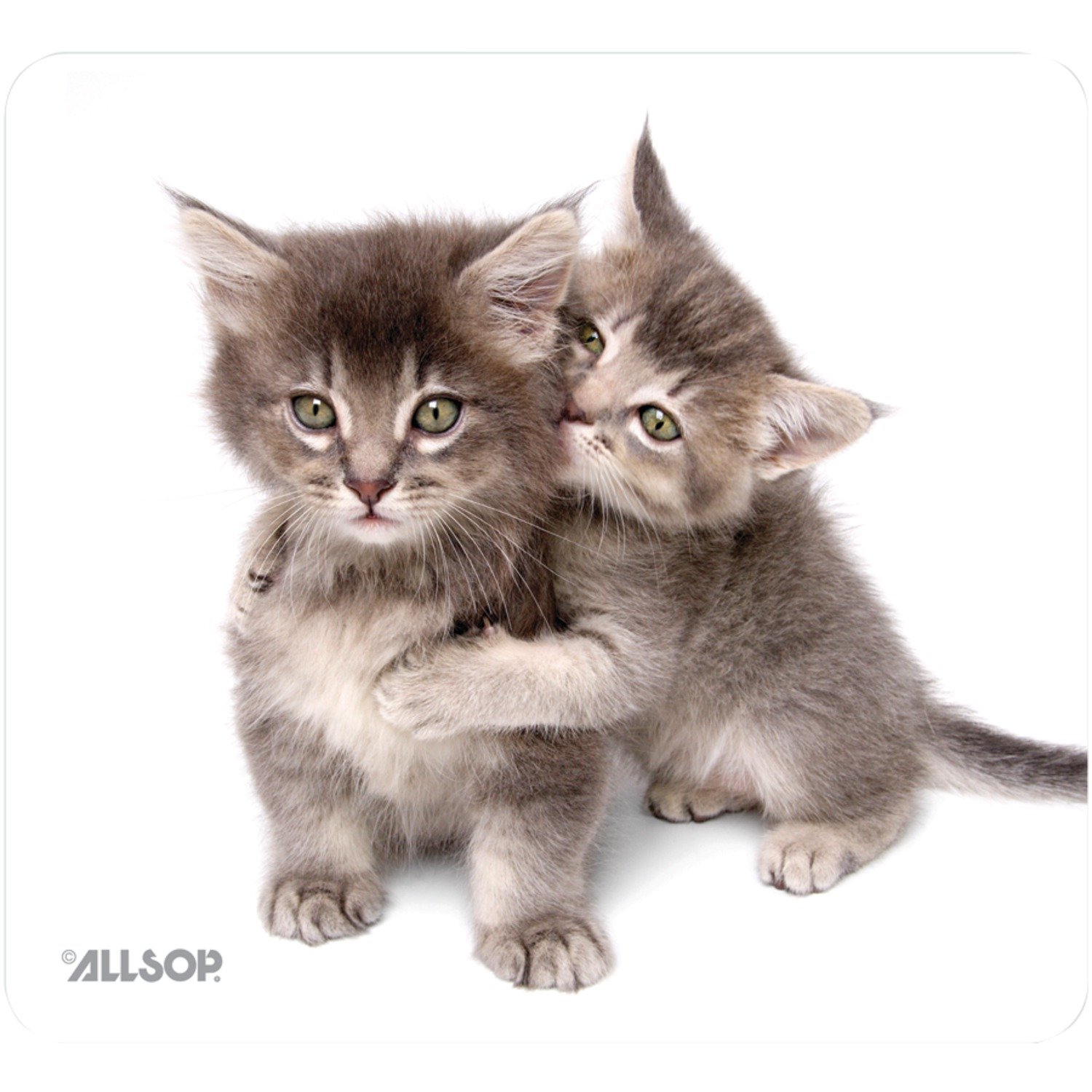Allsop Nature's Smart Mouse Pad 60% Recycled Content, Kittens (30184)