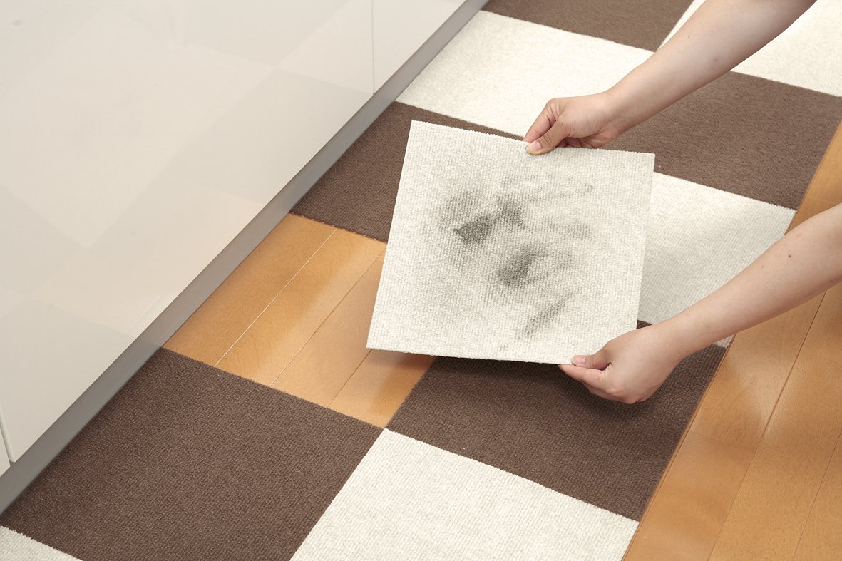 Amazon.co.jp: サンコー おくだけ吸着 獣医師推奨 ペット用撥水タイル