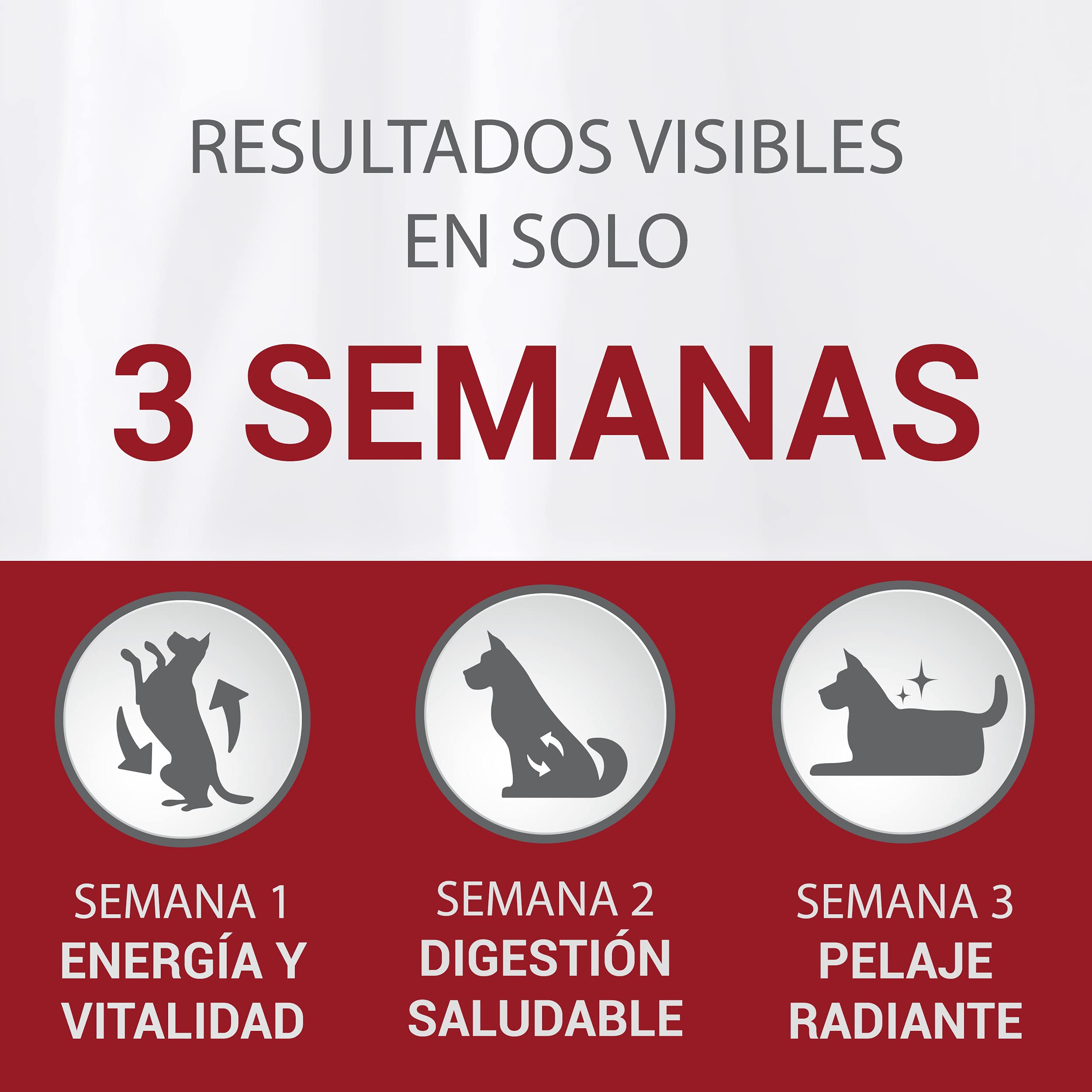 Purina ONE Mini <10kg pienso perro pequeño Sensible Salmón 6x1,5 kg
