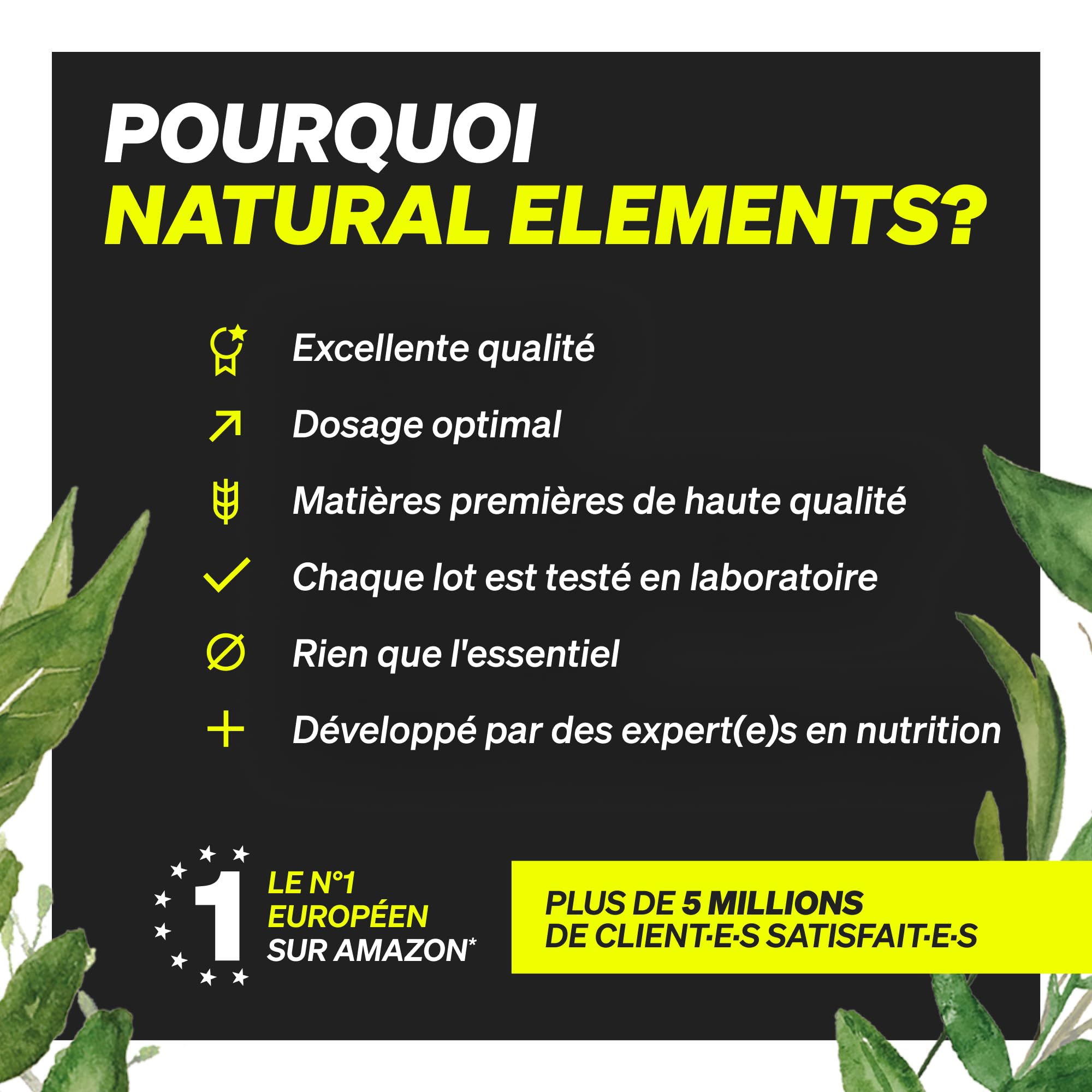 Créatine Monohydrate Creapure 500g, Poudre 100% Pure, Augmentation & Force Musculaire, 147 Portions, Ultra Fine Facteur De Maille 200, Goût Neutre, 100% Vegan, Sans Additifs Inutiles