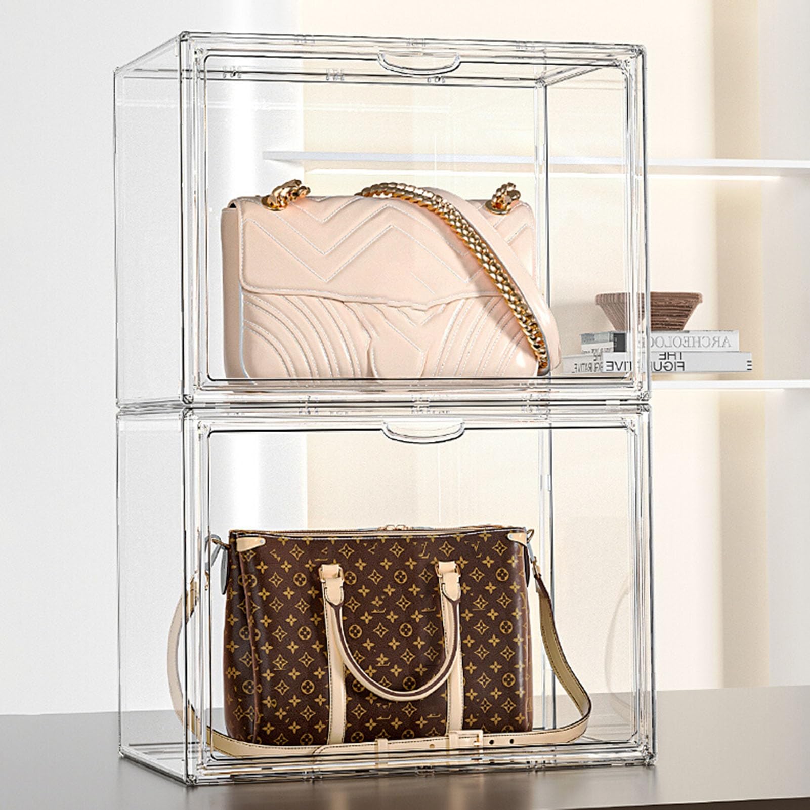 MUCKLILY Boîte à Spécimens Vitrine Transparente 21x15cm - Conteneur Pour Objets De Collection, Entomologie, Taxidermie Et Insectes