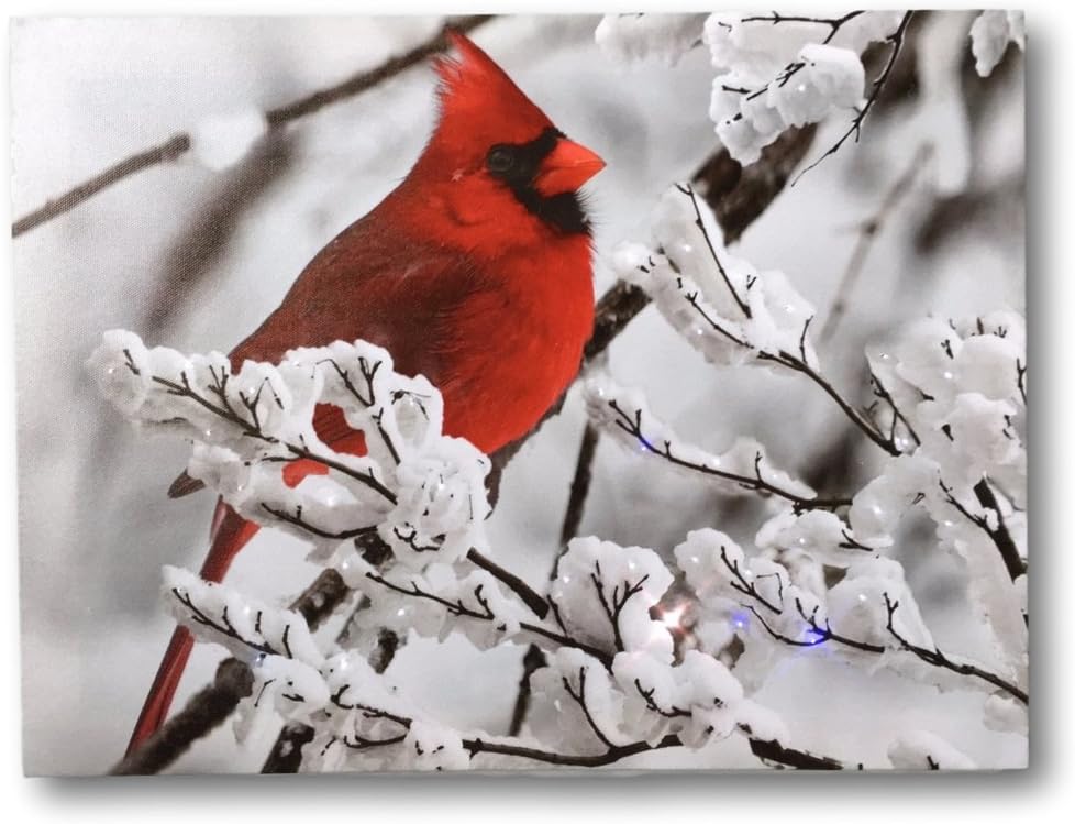 BANBERRY DESIGNS LED Lighted Cardinal on a Snowy Branch Canvas Print with 40 Fiber Optic Lights in the Branches Winter Scene Christmas Picture