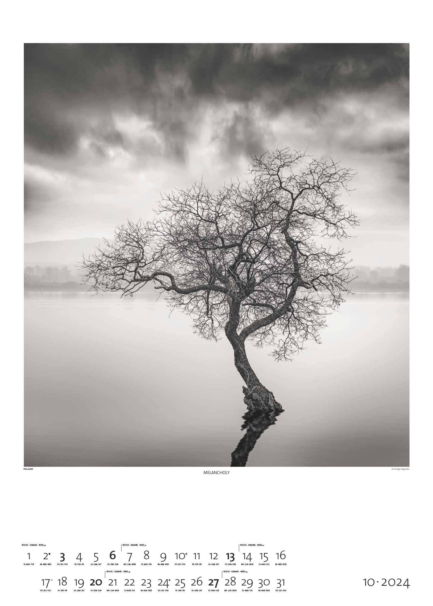 Black & White 2024 - Bildkalender 50x70 cm - Wandkalender XL - schwarz-weiß - Kunst - Hochformat - Palazzi: Fine Art Photography