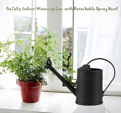 Miniatura 6 de Regadera larga para plantas de 12 galón, pequeña regadera de plástico para plantas de interior para plantas al aire libre, regadera para bonsái de