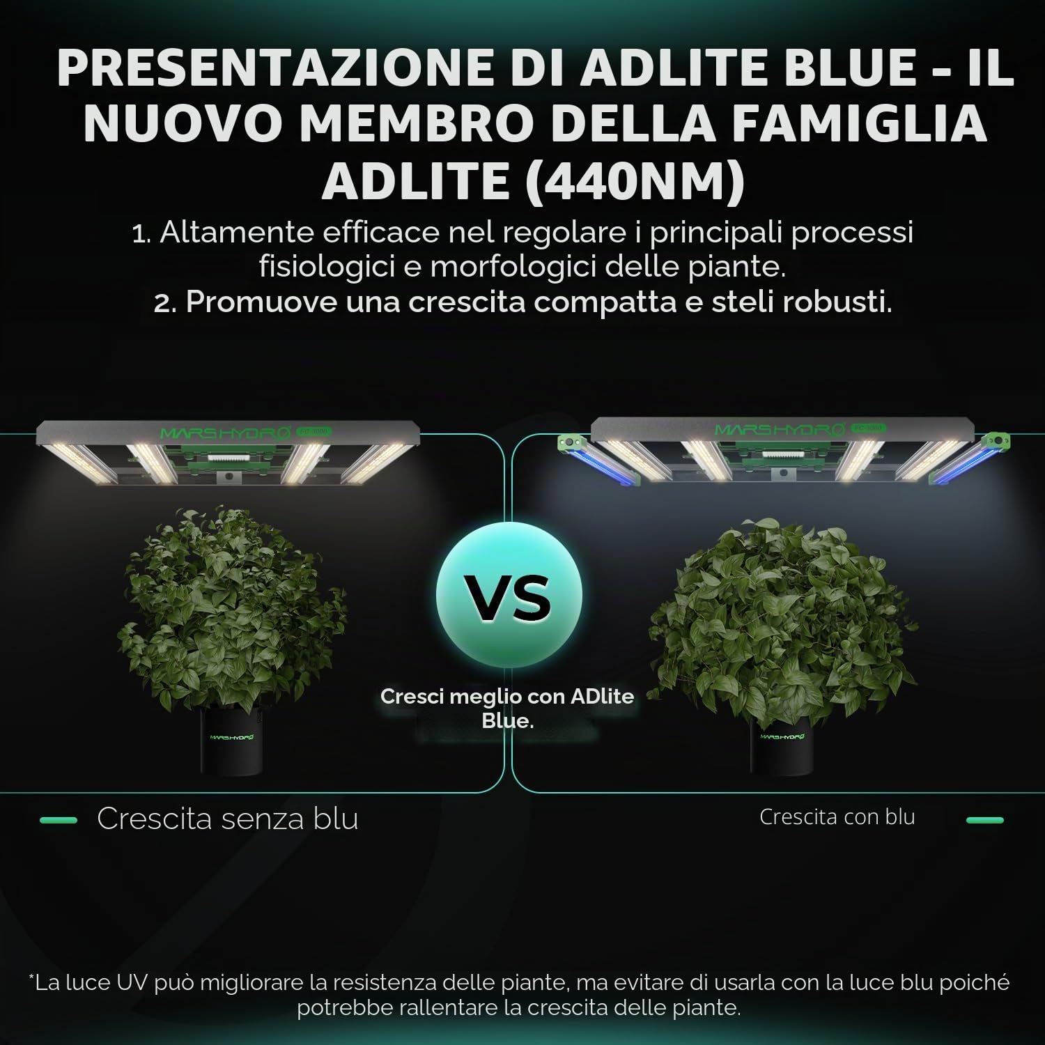 MARS HYDRO ADlite RB30 - Lampada a LED per piante 440 nm e 660 nm, significativo aumento della resa del raccolto, 60 cm Grow Light 30 Wx2, striscia rossa e blu per tende