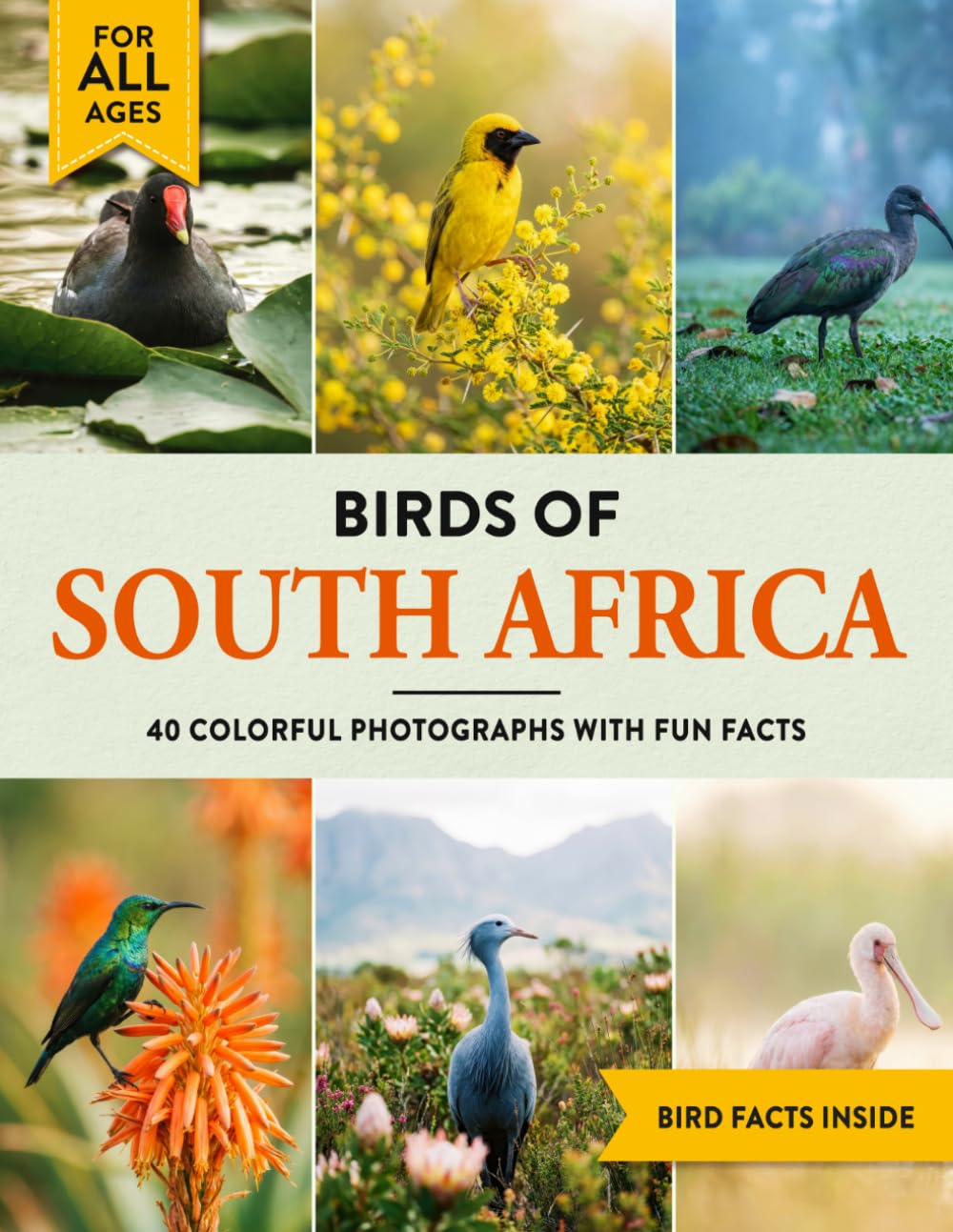Birds of South Africa: A Birdwatching Picture Book with Fun Facts and Photography for Kids, Adults & Birders