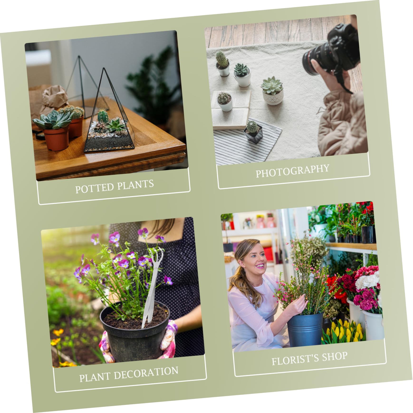 Sosoport 2sets Pinzette e Rastrello Inossidabile Per Bonsai Per Giardinaggio Per Raccogliere e
