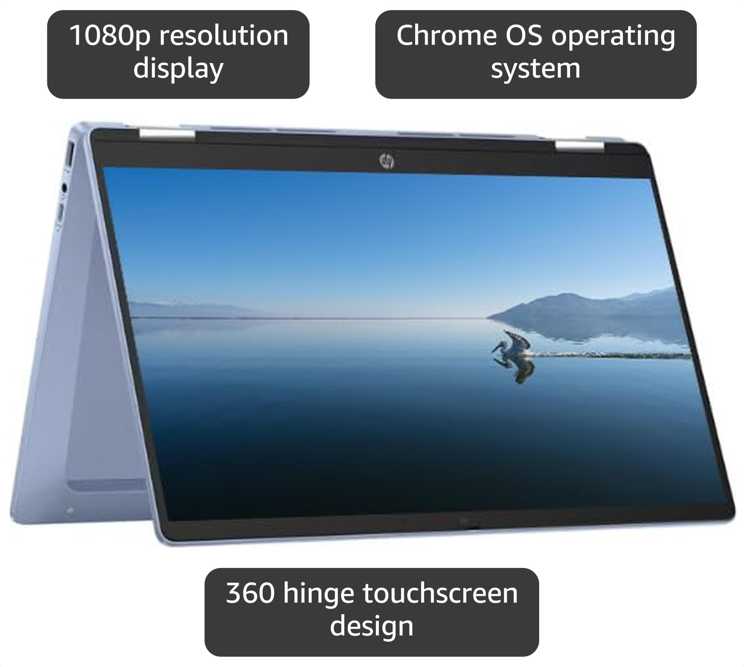 Amazon.com: HP 2025 Portable x360 Chromebook, 14'' Convertible FHD