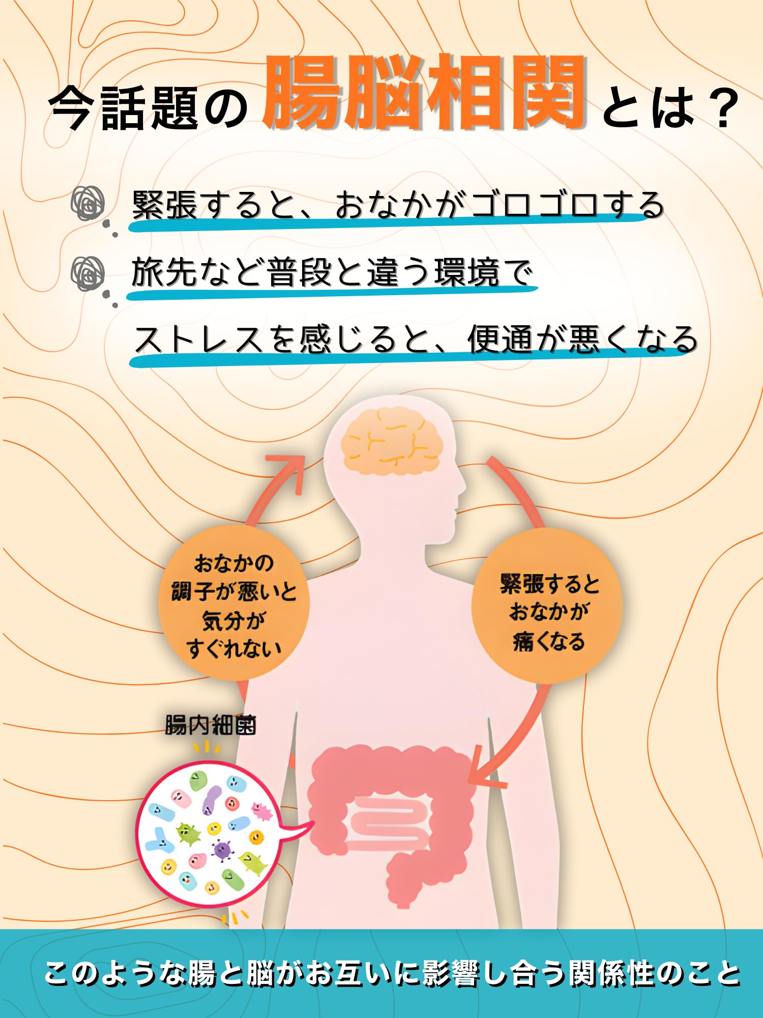 Amazon | ビフィコロン 腸脳アシスト(記憶力・便通サポート)ビフィズス