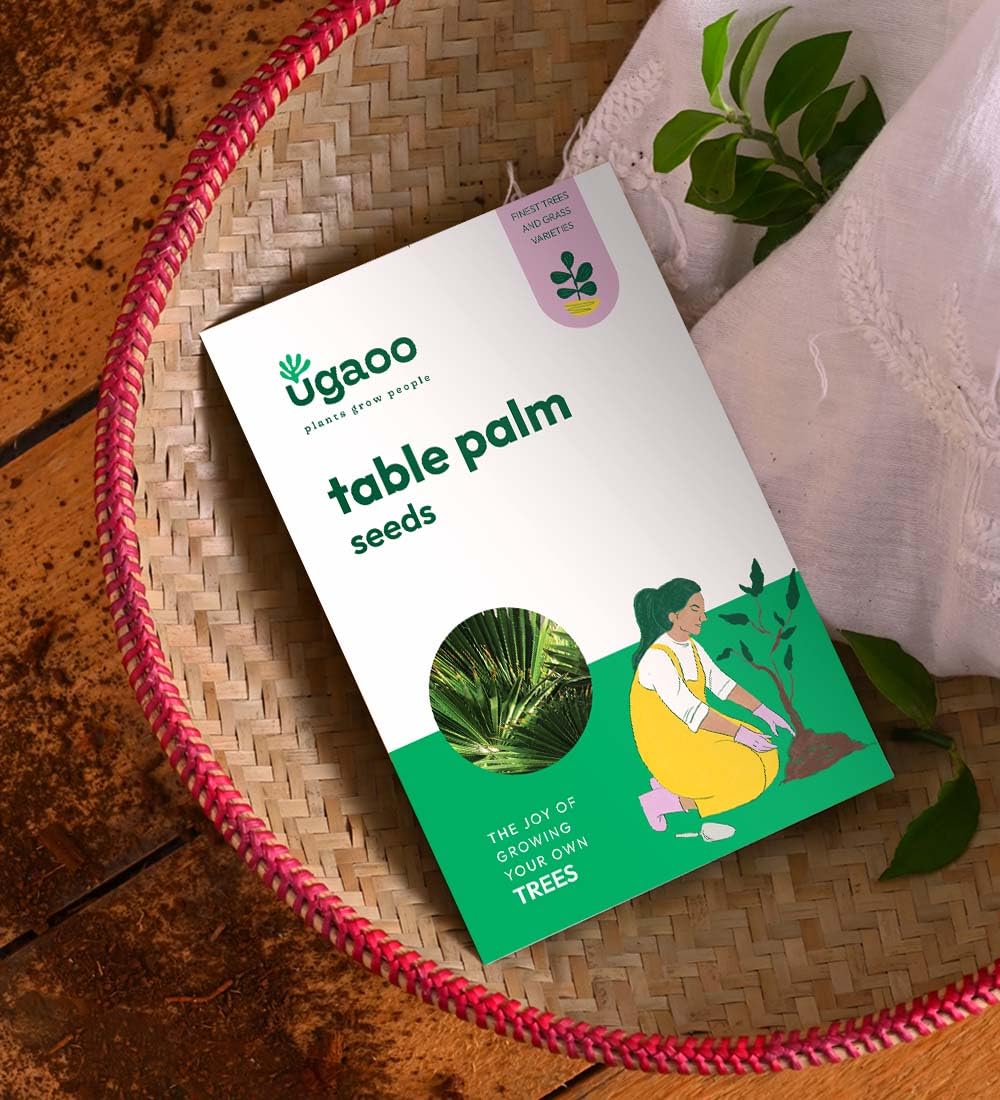 UGAOO Table Palm Seeds - 100 g (B0CH3G9DS5) Amazon Price History, Amazon Price Tracker