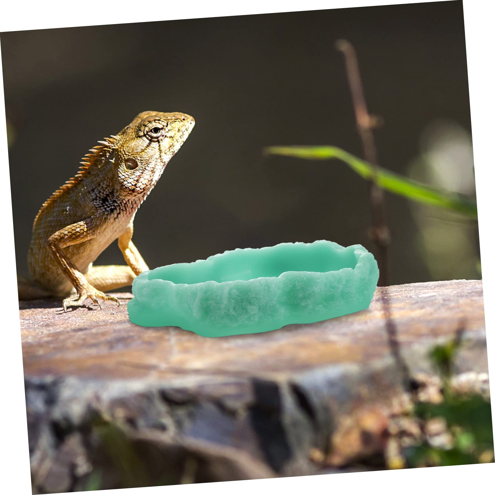 Ciotola Notturna Luminescente per Rettili Alimentatore per Cibo per Terrario per Tartarughe Gechi e Altri Animali Domestici