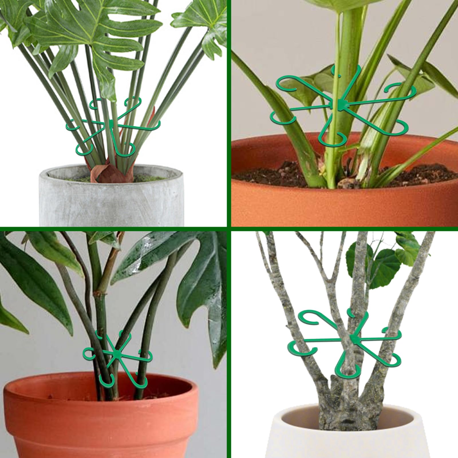 Pflanzenstütze 4er-Set – Rundhalter Für Tomaten, Hortensien & Rosen – 4 Größen (13,5/11,7/7,7/5,7 Cm) Aus PP, Wetterfest & Fördert Wachstum