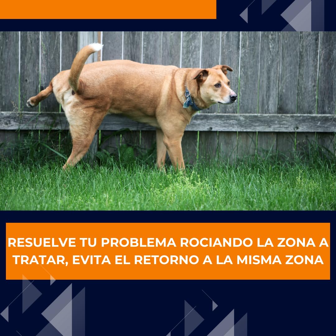 1X750 ml Anti orines Repelente ahuyentador de Perros y Gatos educador contra orin Perros para Perros Gatos ecológico deshabituante Stop orines contra los Malos hábitos de orinar