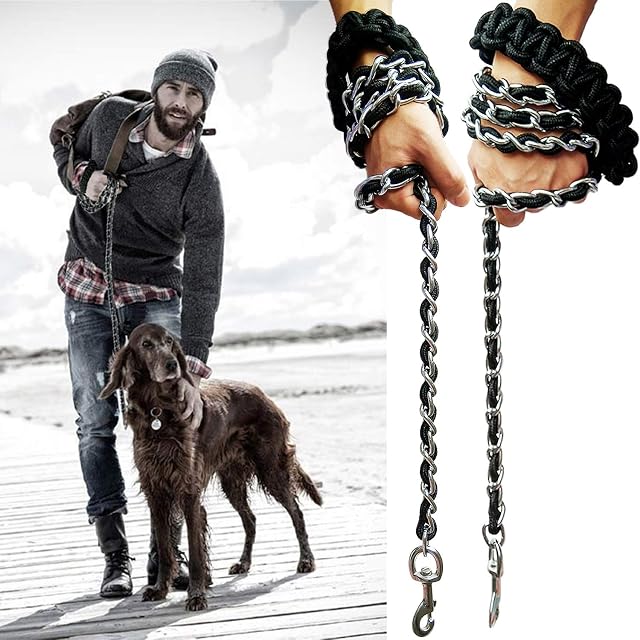 Foto 6 de 7 de Correa de Metal para Perro, Correa de Cadena con Collar para Mascotas, Correas de Entrenamiento para Caminar