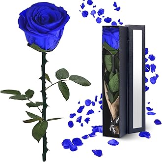 Blue Rose Flowers Gifts for Women: Preserved Roses Birthday Christmas Anniversary for Mom Girlfriend Wife Grandma