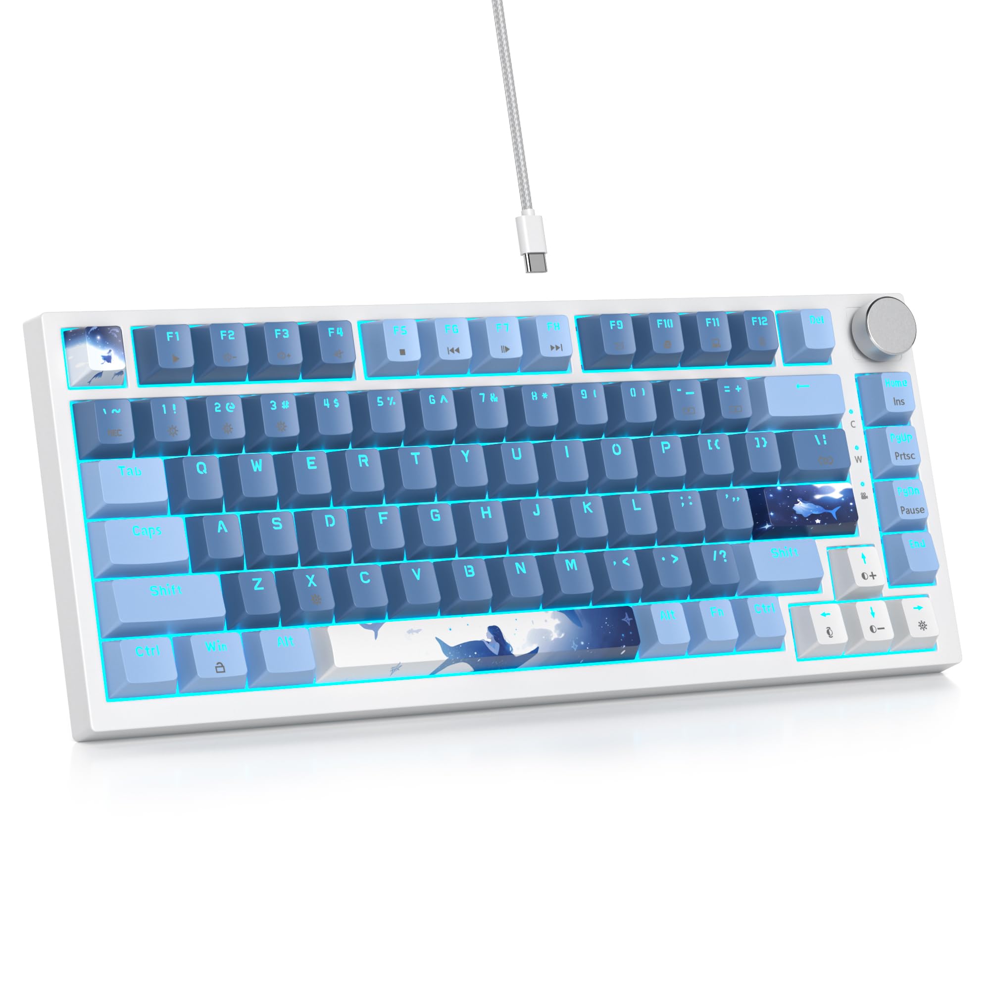 キーボード E-BLUE MECHANIC ADVANCED GAMING KEYBOARD キーボード E-BLUE MECHANIC ADVANCED GAMING KEYBOARD E-BLUE