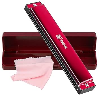 Harmonica Professional Harp Armonica Key Of C 24 Hole Polyphony Diatonic Mouth Organ With Case