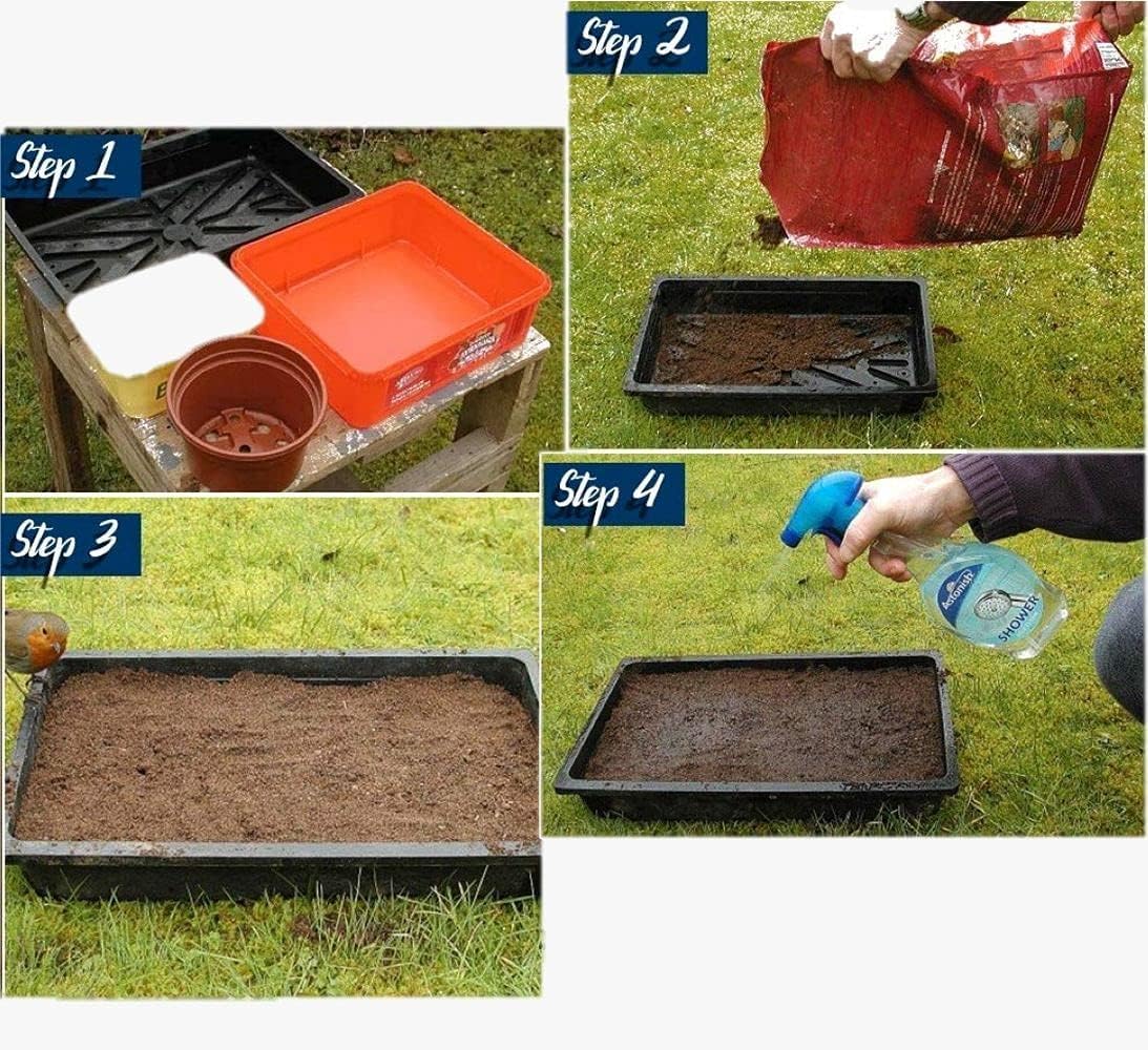 Sellicart Mint Seeds for Indoor and Outdoor Planting, Garden Herb Growing Kit