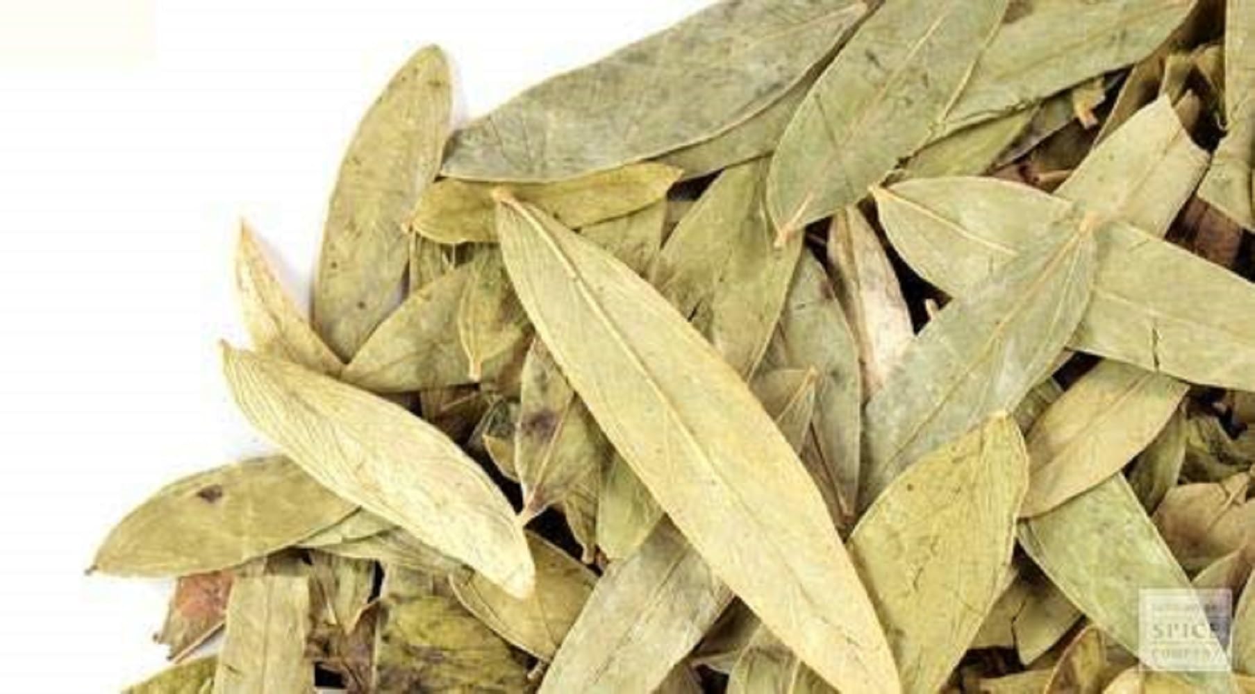Rasna Pan-Rasna Leaves-Rasnai Leaf-रसना पान-Ray Sanay Patta-Rai Senna-Pluchea Lanciolata (50 Gms)-image-5