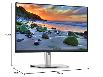 Dell P2421D - LED monitor - 23.8