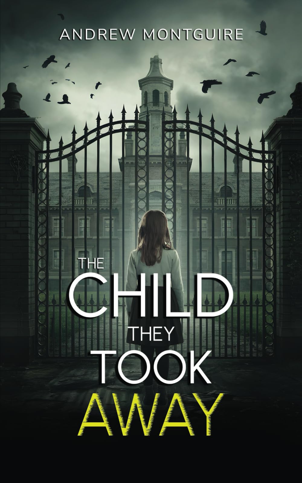 The Child They Took Away