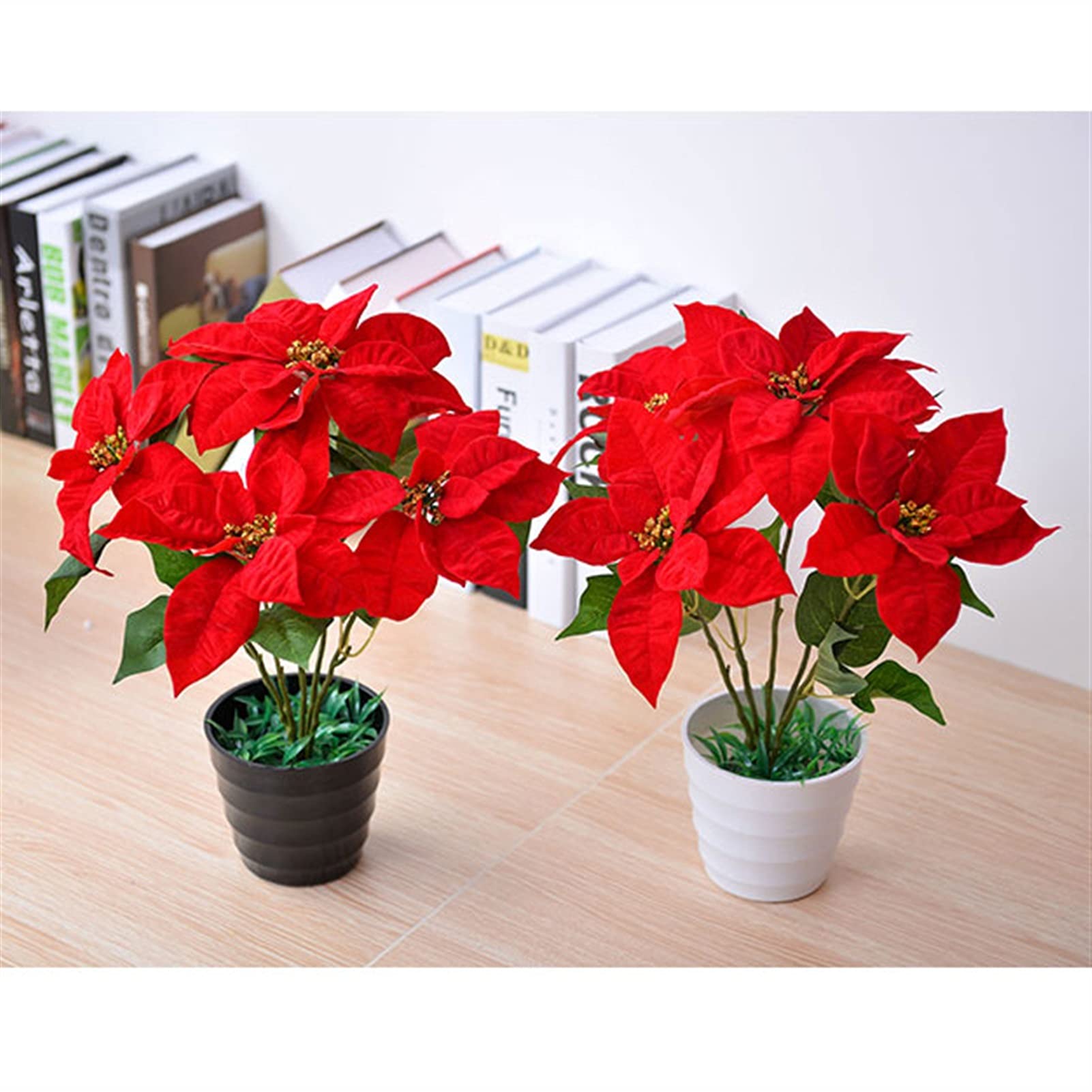 schusterpalme variegata Aspidistra elatior Milky Way 50-60 cm – Schusterpalme mit Sternsprenke –  Blumen-Senf® main image 1