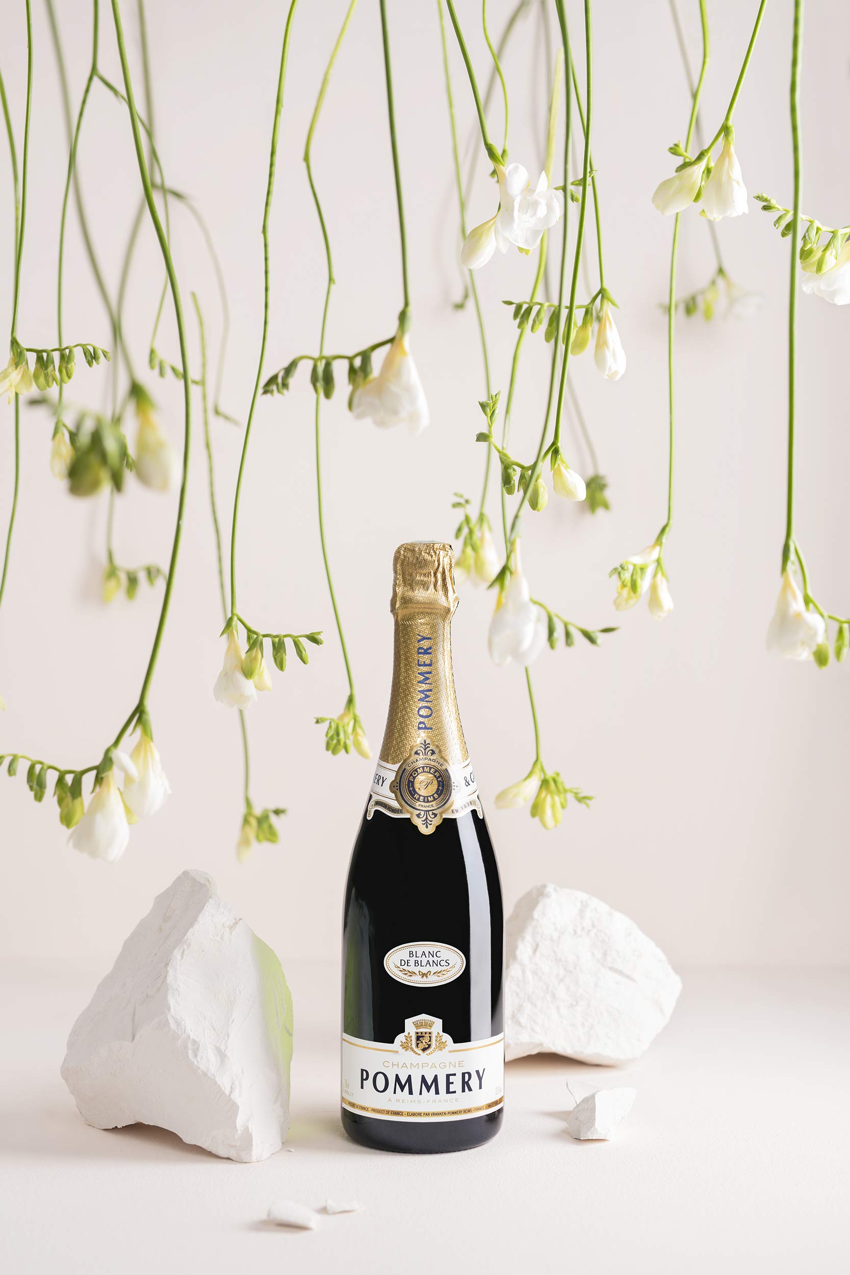 Champagne Pommery Apanage Blanc De Blancs - 75 cl - Sous Etui