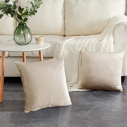 Miniatura 7 de GIGIZAZA - Juego de 2 fundas de almohada decorativas de 16 x 16 pulgadas, fundas de almohada cuadradas de terciopelo, bohemias, para sofá, color