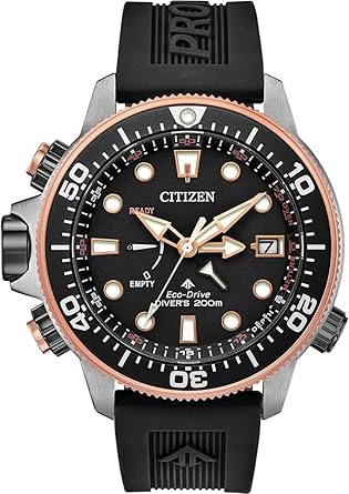 30th anniversary promaster