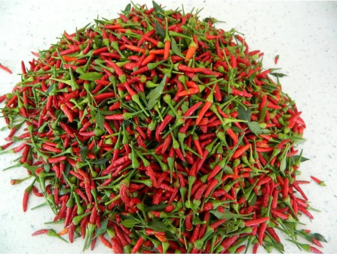 Birds Eye Chili - 30+ fresh Birds Eye Demon Pepper||The miniature chilly with superlative hotness|| Grown in Assam Farm| (B0CLK75M7C) Amazon Price History, Amazon Price Tracker