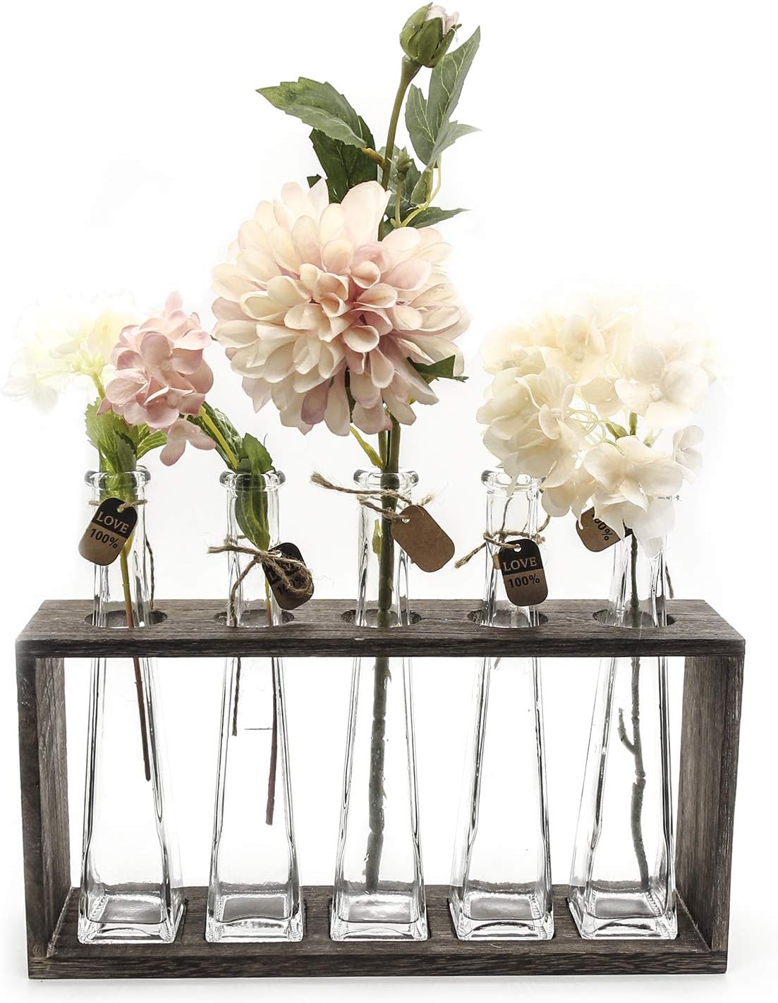 Funsoba Rustic Vintage Hydroponic Flower Vases Set in Wooden Rack 5 Bottles (Type A 5 Vase Set)