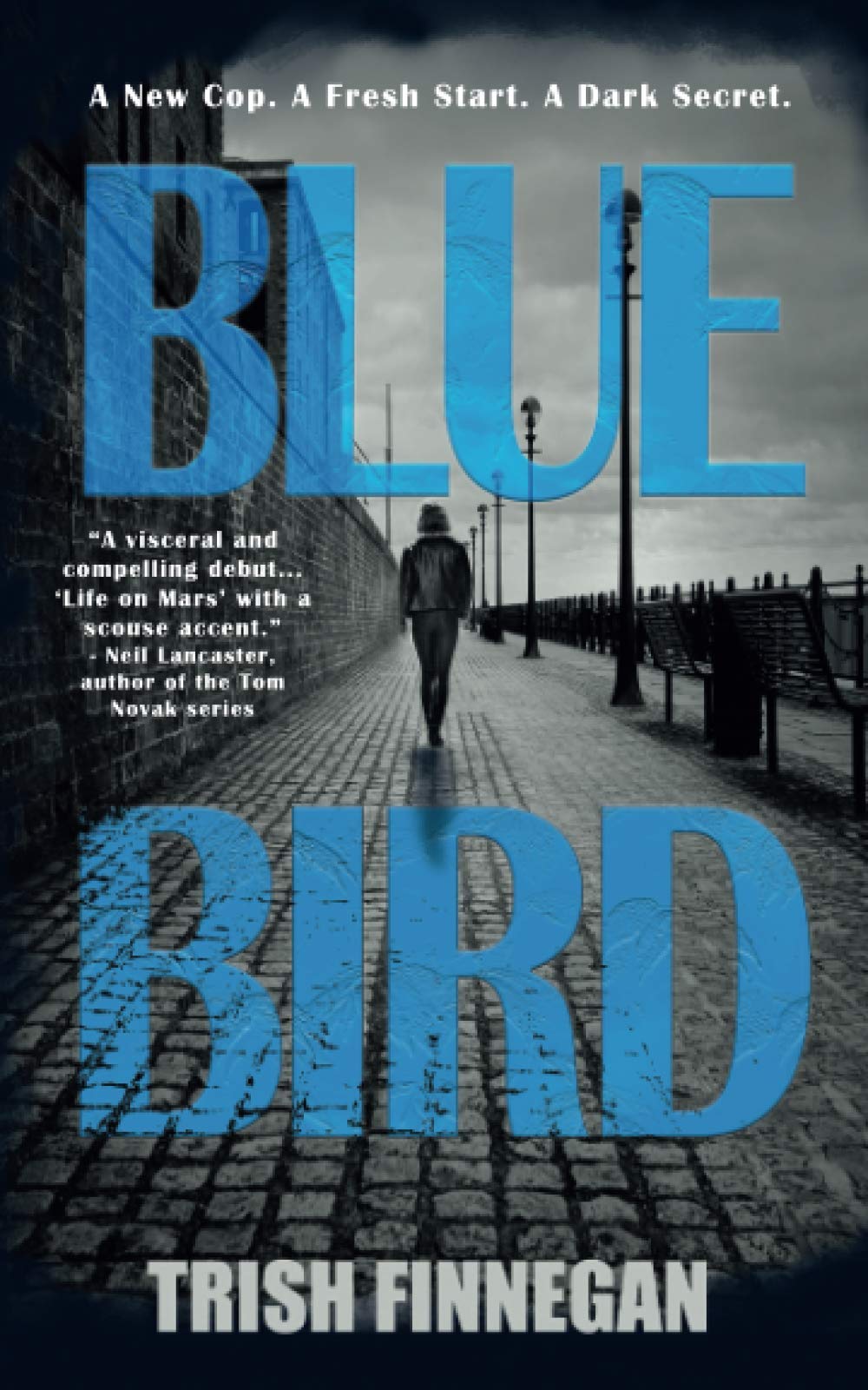 Blue Bird (The Blue Bird Series)