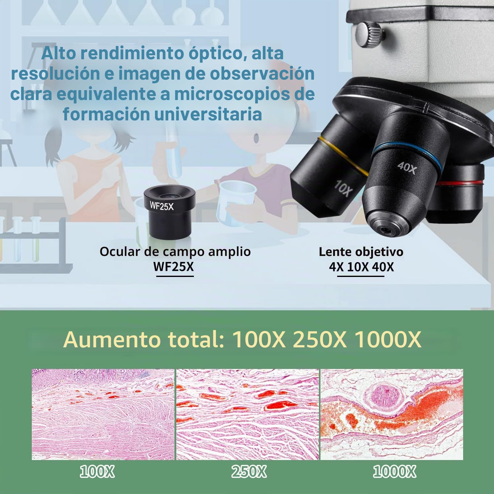 MAXLAPTER Microscopio Profesional, Etapa mecánica X-Y Calibrador móvil Vernier, Adecuado para Enseñanza, Investigación Biológica y Educación Familiar, para Niños Estudiantes Principiantes Adultos